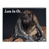 Leos in Oz Kalender (Titelbild)