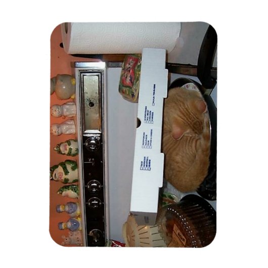 Leos Pizza Blanket Magnet (Vertikal)