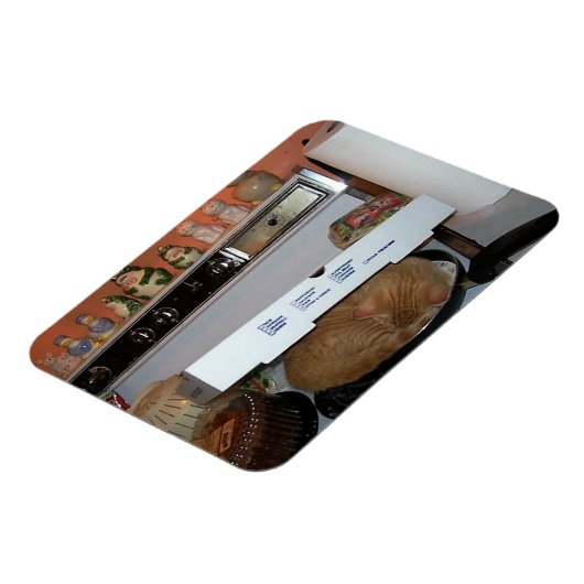 Leos Pizza Blanket Magnet (Linke Seite)