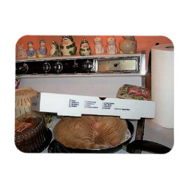 Leos Pizza Blanket Magnet