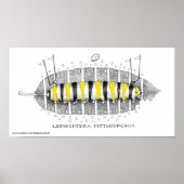 Lepidoptera Pittsburghia-Zazzle, www.zazzle.com... Poster (Vorne)