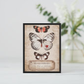 Lepidoptera Postkarte (Stehend Vorderseite)