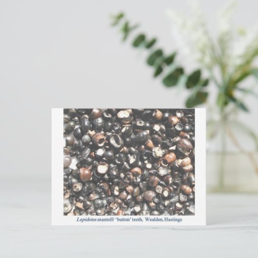 Lepidotes zerkleinern Zahnfossilien Postkarte (Stehend Vorderseite)