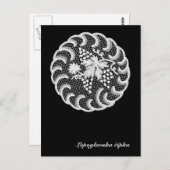 Lepoglava Spitze Postkarte (Vorne/Hinten)