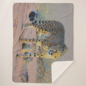 LEPORD SHERPADECKE (Vorderseite)