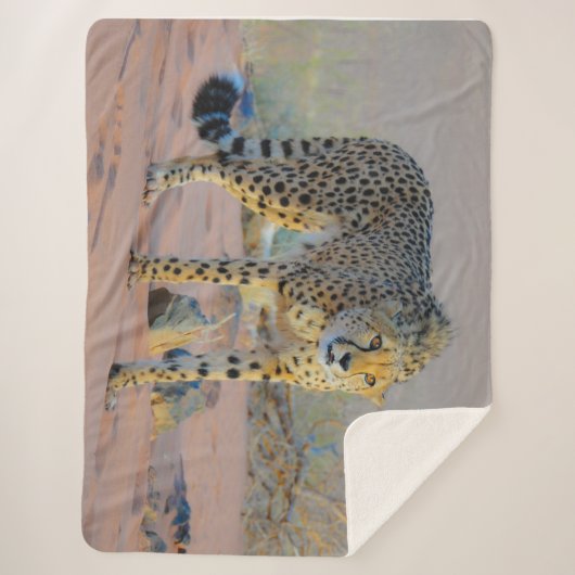 LEPORD SHERPADECKE (Vorderseite)