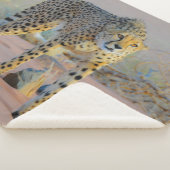 LEPORD SHERPADECKE (3/4)