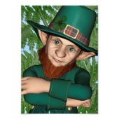 Leprechaun Fotodruck (Vorne)