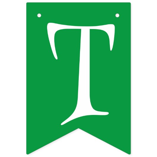 Leprechaun St Patrick's Day Celebration Wimpelkette (Zweite Fahne)