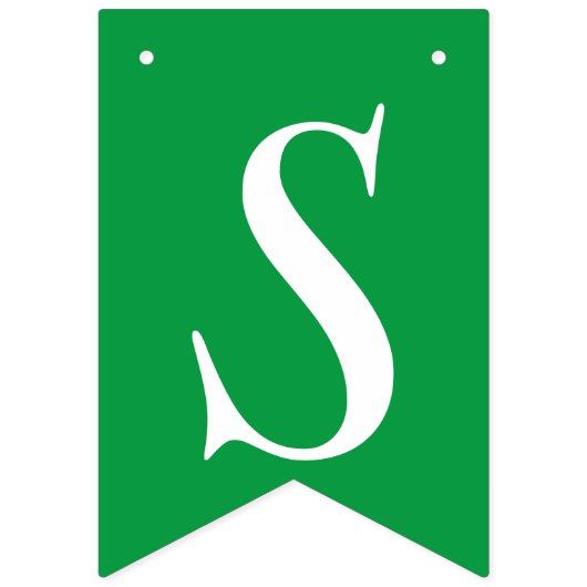 Leprechaun St Patrick's Day Celebration Wimpelkette (Erste Fahne)