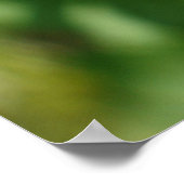 Leptinotarsa decemlineata poster (Ecke)