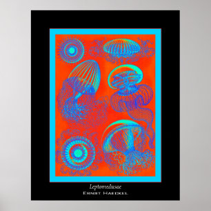 Leptomedusae ~ Ernst Haeckel Print Poster
