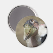 Leptoptilos crumeniferus magnet (Vorderseite/Rückseite)