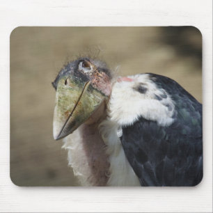 Leptoptilos crumeniferus mousepad