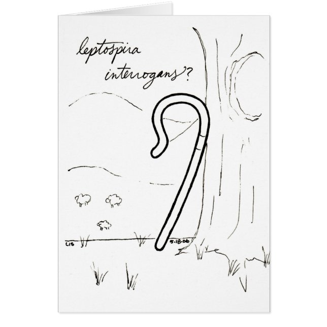Leptospira Interrogans Karte (Vorne)
