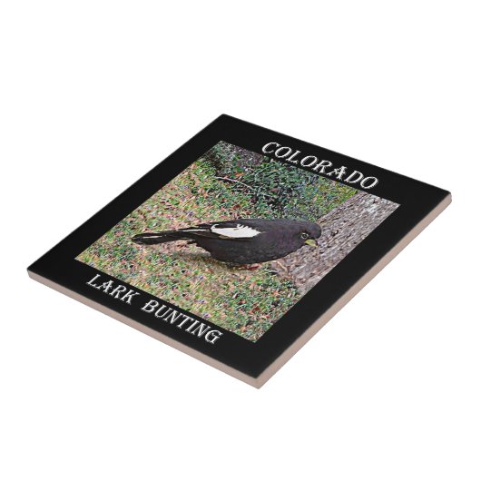 Lerchen-Flagge (Colorado) Fliese (Seite)