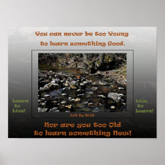 Lerne zu leben, lebe um zu lernen 2 poster