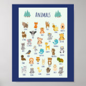 Lernen über die Bildung der Animals School Poster (Vorne)