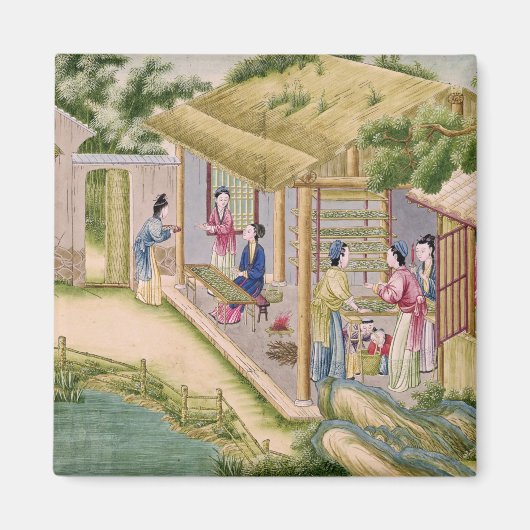 Lernen über Seidenraupen Magnet (Vorne)