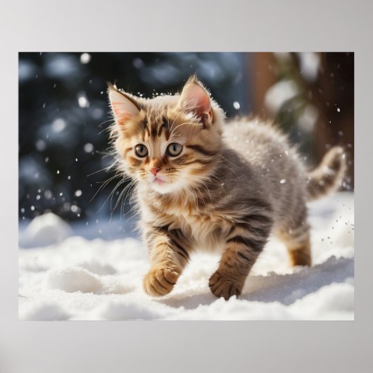*~* Lernen über Snow Kitty 5:4 Kätzchen AP68 Poster (Vorne)