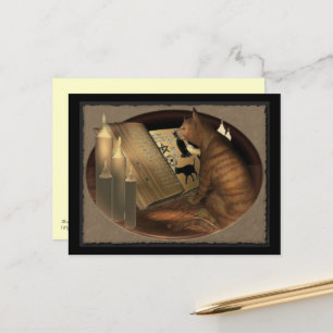 Lernen von Katzen Postkarte