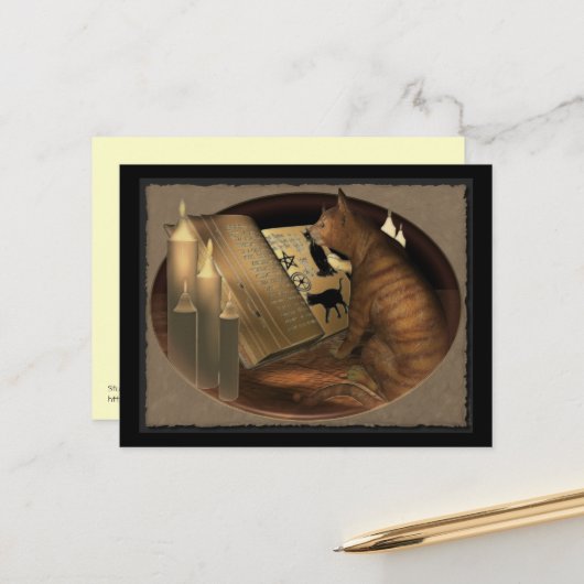 Lernen von Katzen Postkarte (Vorderseite/Rückseite Beispiel)
