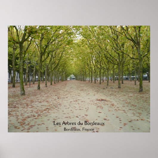 Les Arbres du Bordeaux Poster (Vorne)