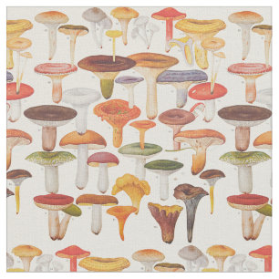Les Champignon-Pilze Stoff