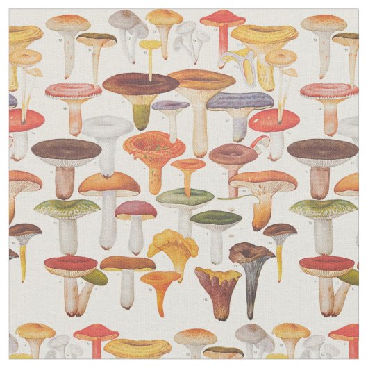 Les Champignon-Pilze Stoff (Nahaufnahme)