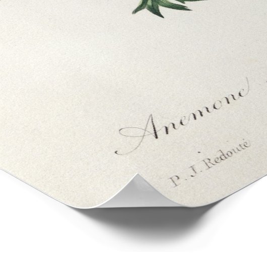 "Les Choix des Plus Belles Fleurs" Poster (Ecke)