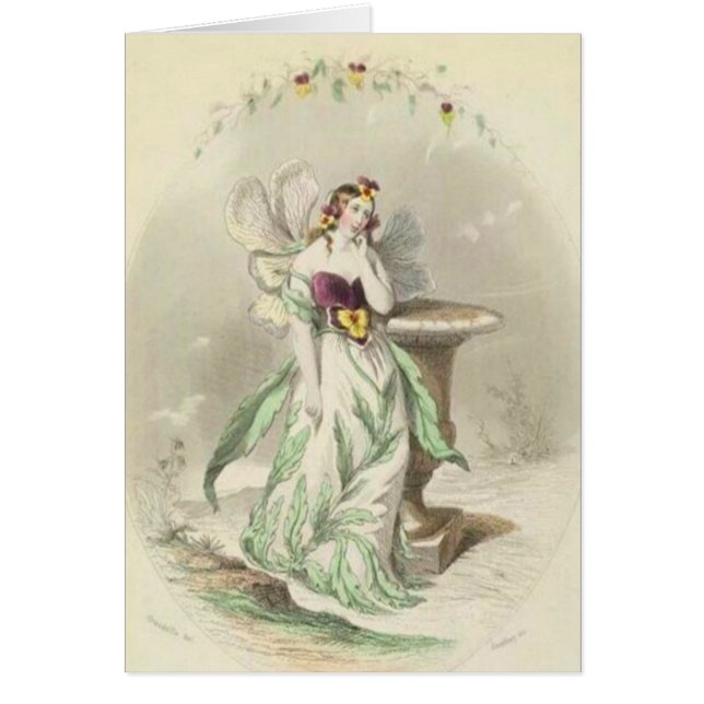 Les Fleurs Pansy (Vorne)