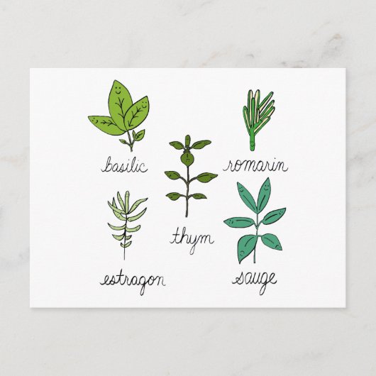 Les herbes postkarte (Vorderseite)