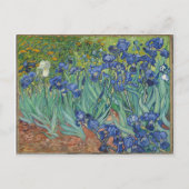 Les Iris Irises Vincent Van Gogh Postkarte (Vorderseite)