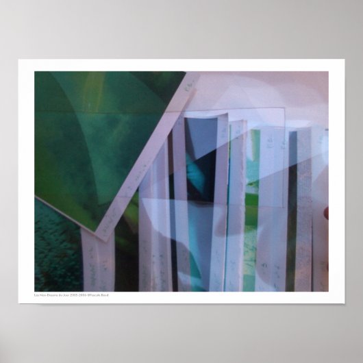 Les non-dessins du Jour 2005-2006 Reflections P Poster (Vorne)