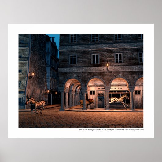 Les rues du Serengeti - Straßen des Serengeti Poster (Vorne)