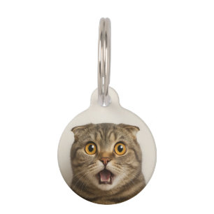 Lesben essen was Lustiges Haustiermarke