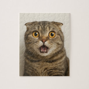 Lesben essen was Lustiges Puzzle