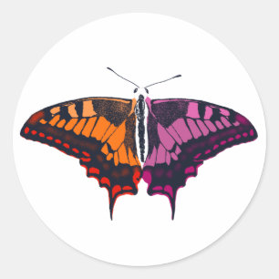 Lesbian Pride Flag Swallowtail Butterfly Runder Aufkleber