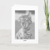 Lesbians Eat What Funny Cat Folded Birthday Card Karte (Rückseite)