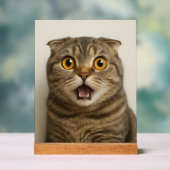 Lesbians essen, was lustig acrylschild (Neutral)