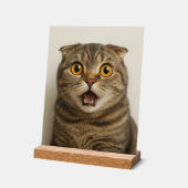 Lesbians essen, was lustig acrylschild (Winkel)