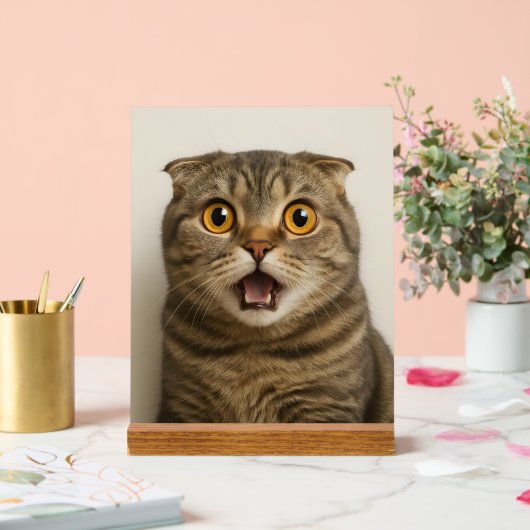 Lesbians essen, was lustig acrylschild (Hochzeit)