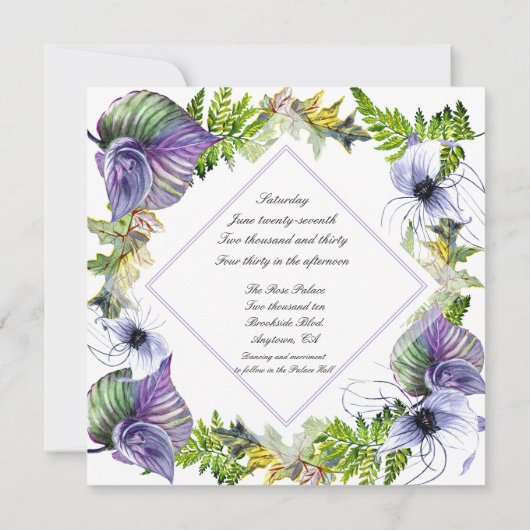 Lesbische Lila Clematis und Blätter (Rückseite)