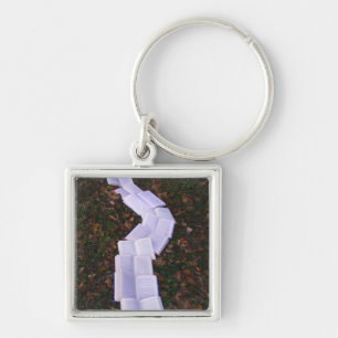 Lesegerät für Buchpfad Schlüsselanhänger