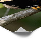 Lesekugel Poster (Ecke)