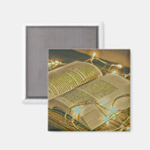 Leseliebte Geschenke für Bibliothekare Magnet (Vorderseite/Rückseite)