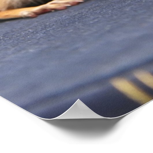 Lesen ist Spaß-Chipmunk-Poster Poster (Ecke)