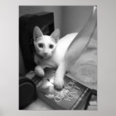 Lesen Poster (Vorne)