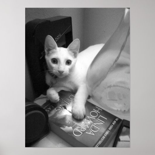 Lesen Poster (Vorne)