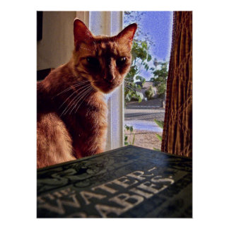 Lesen Sie meinen Geist, Katzen-Poster Poster